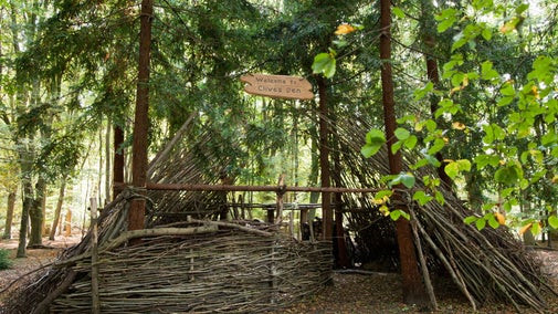 Woodlands play trail in autumn at Cliveden, Buckinghamshire.